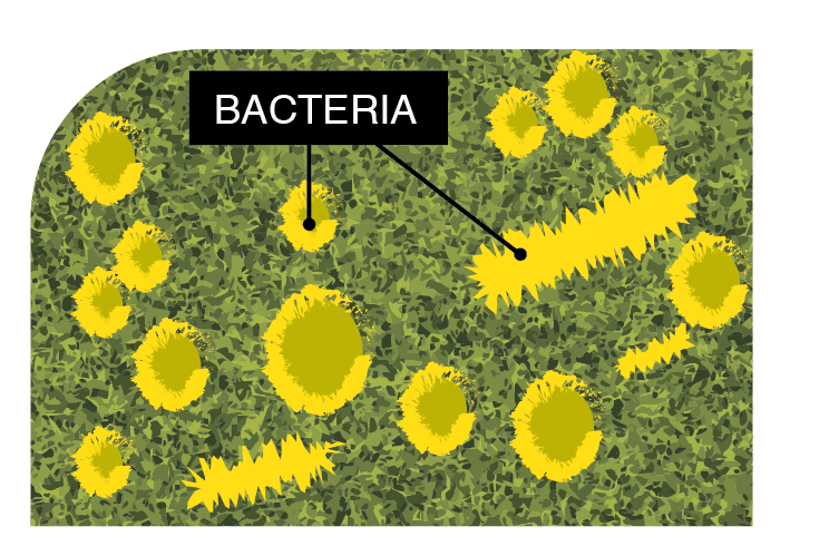 Microban Technology, Green-R Turf of Coachella Valley