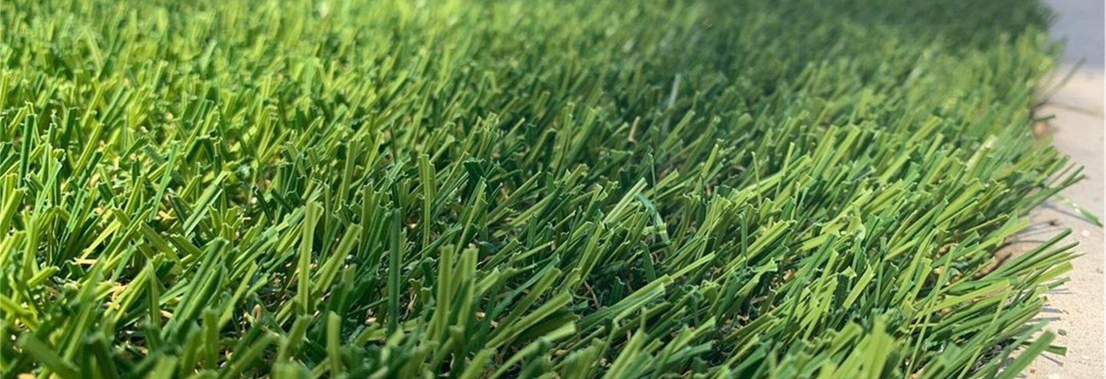 Evergreen Artificial Grass, Green-R Turf of Coachella Valley