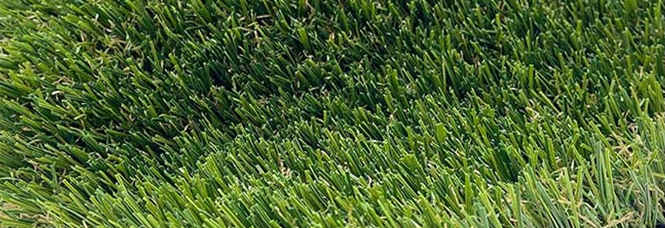 Pine Pro Artificial Grass – Turf CLose Up Pine Pro Artificial Grass, Green-R Turf of Coachella Valley