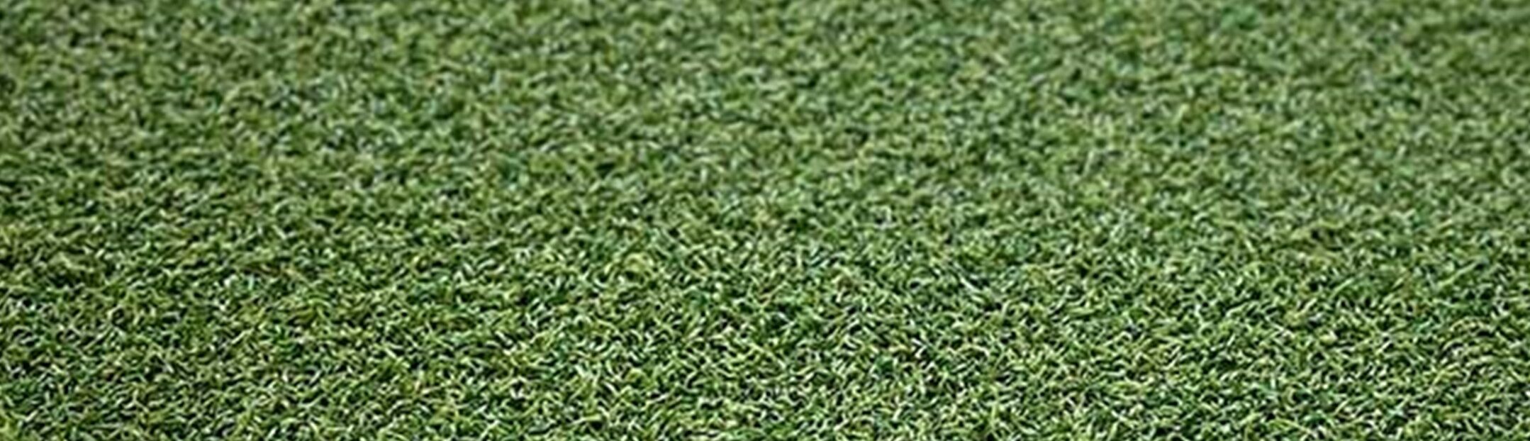 XTREME PLAY Close Up Xtreme Sports/Play Turf, Green-R Turf of Coachella Valley