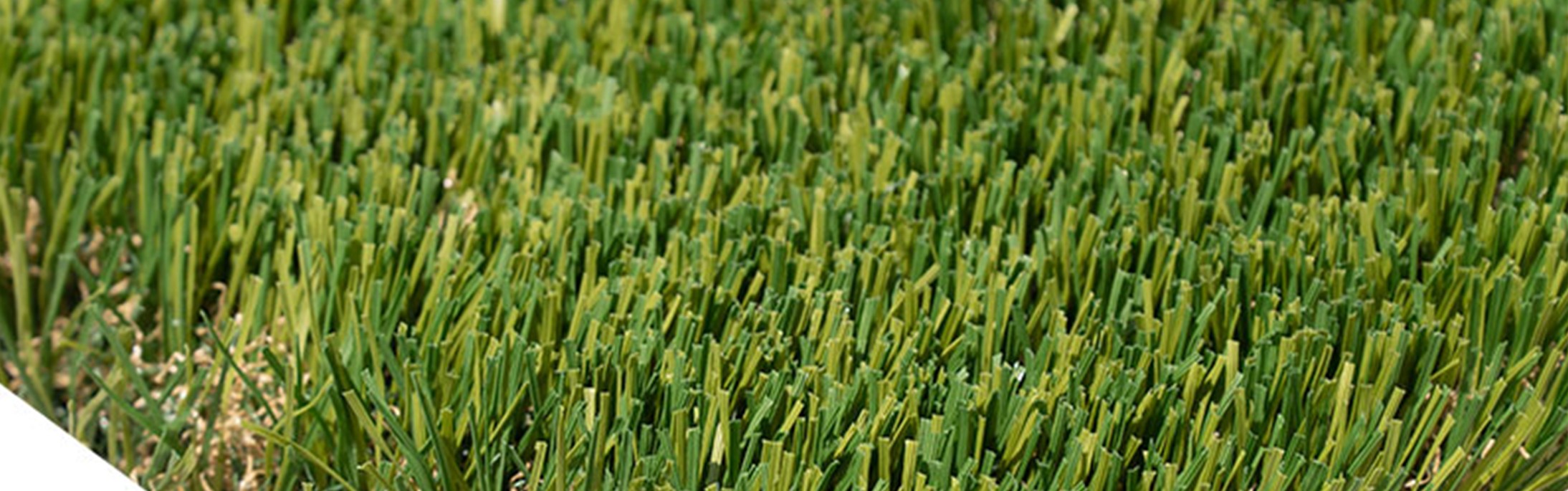 Oakmont Supreme Artificial Grass Oakmont Supreme Artificial Grass, GRT of Coachella Valley,